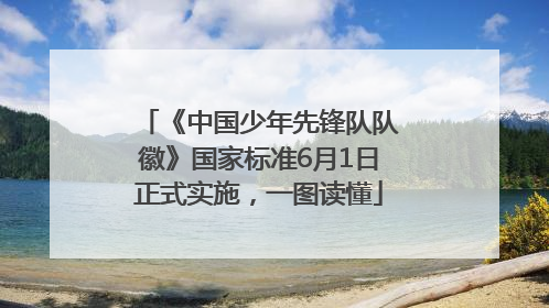 《中国少年先锋队队徽》国家标准6月1日正式实施，一图读懂