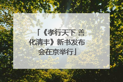 《孝行天下 善化清丰》新书发布会在京举行