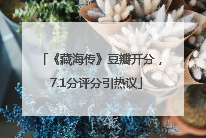 《藏海传》豆瓣开分，7.1分评分引热议