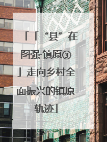 「“县”在图强·镇原③」走向乡村全面振兴的镇原轨迹