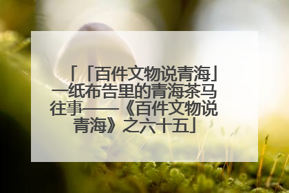「百件文物说青海」一纸布告里的青海茶马往事——《百件文物说青海》之六十五