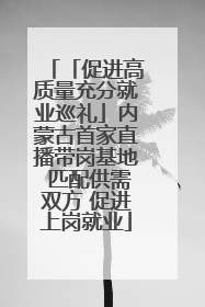 「促进高质量充分就业巡礼」内蒙古首家直播带岗基地 匹配供需双方 促进上岗就业