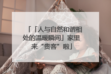 「人与自然和谐相处的温暖瞬间」家里来“贵客”啦