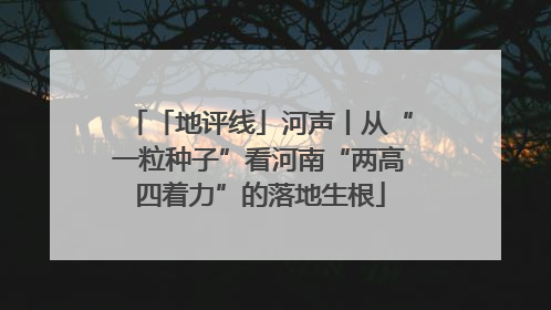 「地评线」河声丨从“一粒种子”看河南“两高四着力”的落地生根