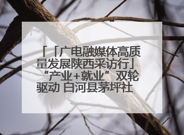 「广电融媒体高质量发展陕西采访行」“产业+就业”双轮驱动 白河县茅坪社区打造易地搬迁后扶新样本