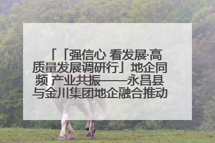 「强信心 看发展·高质量发展调研行」地企同频 产业共振——永昌县与金川集团地企融合推动重大项目建设