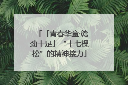 「青春华章·赣劲十足」“十七棵松”的精神接力