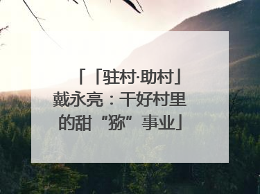 「驻村·助村」戴永亮：干好村里的甜“猕”事业