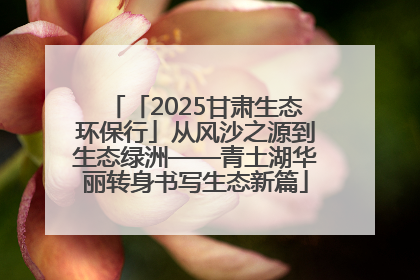 「2025甘肃生态环保行」从风沙之源到生态绿洲——青土湖华丽转身书写生态新篇