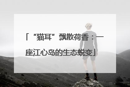 “猫耳”飘散荷香：一座江心岛的生态蜕变