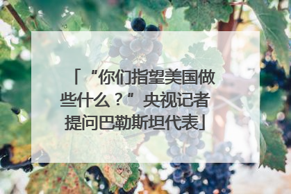 “你们指望美国做些什么？”央视记者提问巴勒斯坦代表