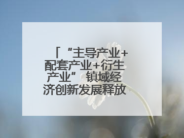 “主导产业+配套产业+衍生产业” 镇域经济创新发展释放强劲发展动能