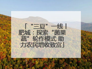 “三夏”一线丨肥城：探索“菌果蔬”轮作模式 助力农民增收致富
