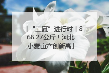“三夏”进行时丨866.27公斤！河北小麦亩产创新高