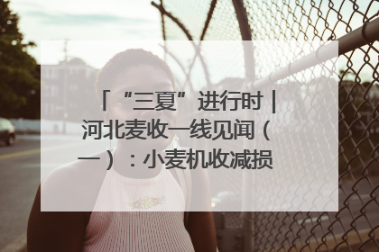“三夏”进行时｜河北麦收一线见闻（一）：小麦机收减损“竞技” 农机高手麦田“过招”