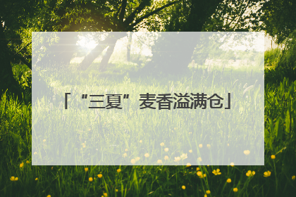 “三夏”麦香溢满仓