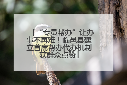 “专员帮办”让办事不再难！临邑县建立首席帮办代办机制获群众点赞
