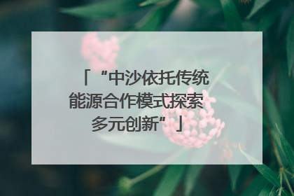 “中沙依托传统能源合作模式探索多元创新”