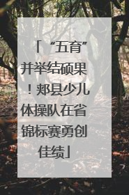 “五育”并举结硕果！郏县少儿体操队在省锦标赛勇创佳绩