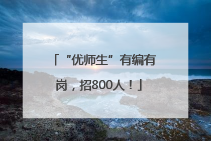 “优师生”有编有岗，招800人！