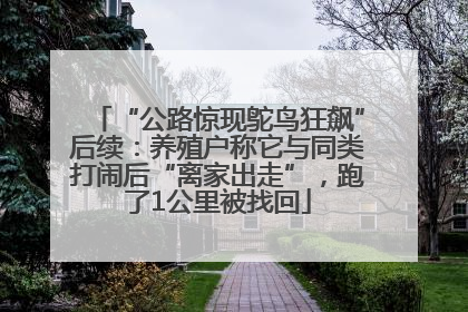 “公路惊现鸵鸟狂飙”后续：养殖户称它与同类打闹后“离家出走”，跑了1公里被找回