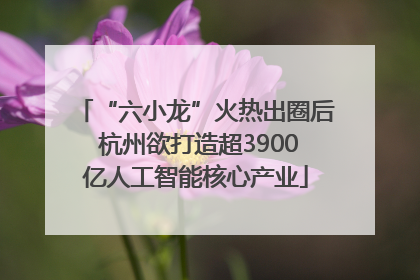 “六小龙”火热出圈后 杭州欲打造超3900亿人工智能核心产业