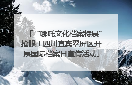 “哪吒文化档案特展”抢眼！四川宜宾翠屏区开展国际档案日宣传活动