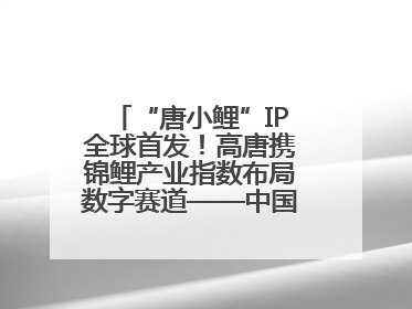 “唐小鲤”IP全球首发！高唐携锦鲤产业指数布局数字赛道——中国高唐锦鲤产业指数暨“唐小鲤”IP全球首发仪式在杭州举行