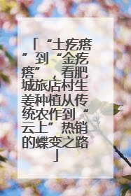 “土疙瘩”到“金疙瘩”，看肥城旅店村生姜种植从传统农作到“云上”热销的蝶变之路