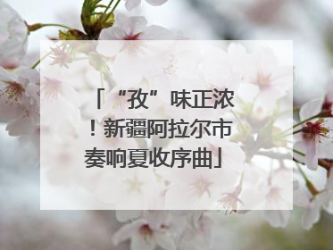 “孜”味正浓！新疆阿拉尔市奏响夏收序曲