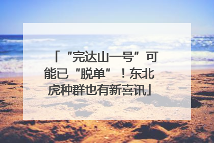“完达山一号”可能已“脱单”！东北虎种群也有新喜讯