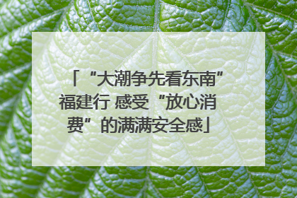 “大潮争先看东南”福建行 感受“放心消费”的满满安全感