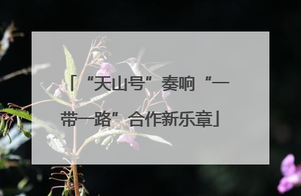 “天山号”奏响“一带一路”合作新乐章