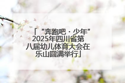 “奔跑吧・少年”2025年四川省第八届幼儿体育大会在乐山圆满举行