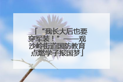 “我长大后也要穿军装！”——观沙岭街道国防教育点燃学子报国梦