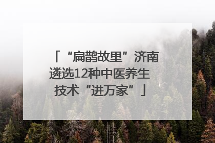 “扁鹊故里”济南遴选12种中医养生技术“进万家”