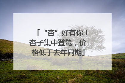 “杏”好有你！杏子集中登鹭，价格低于去年同期