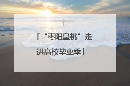“枣阳皇桃”走进高校毕业季