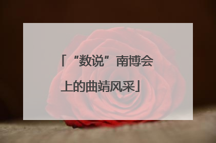 “数说”南博会上的曲靖风采