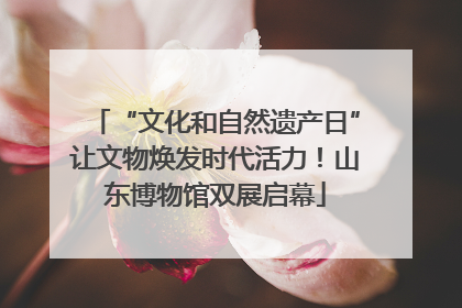 “文化和自然遗产日”让文物焕发时代活力！山东博物馆双展启幕