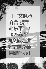 “文脉承齐鲁 携手赴东平”2025东平湖文旅走进济宁推介会圆满举办