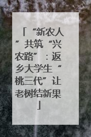 “新农人”共筑“兴农路”：返乡大学生“桃三代”让老树结新果