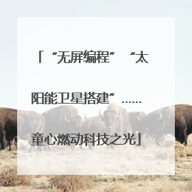 “无屏编程”“太阳能卫星搭建”……童心燃动科技之光
