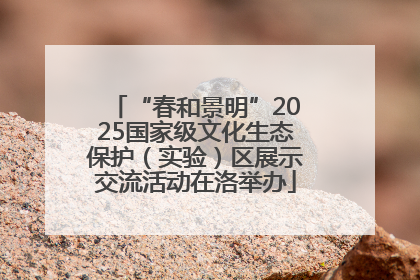 “春和景明”2025国家级文化生态保护（实验）区展示交流活动在洛举办