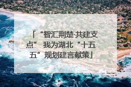 “智汇荆楚·共建支点” 我为湖北“十五五”规划建言献策
