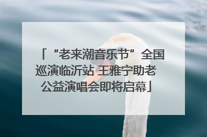 “老来潮音乐节”全国巡演临沂站 王雅宁助老公益演唱会即将启幕