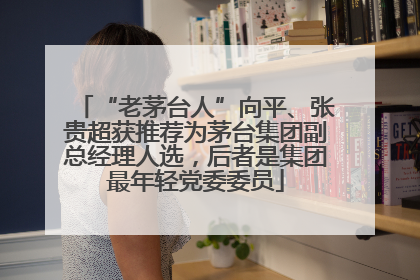 “老茅台人”向平、张贵超获推荐为茅台集团副总经理人选，后者是集团最年轻党委委员