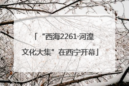 “西海2261·河湟文化大集”在西宁开幕