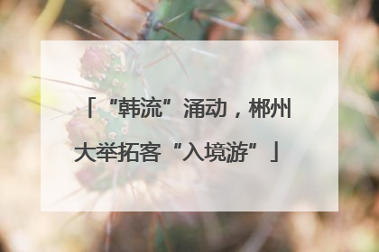 “韩流”涌动，郴州大举拓客“入境游”