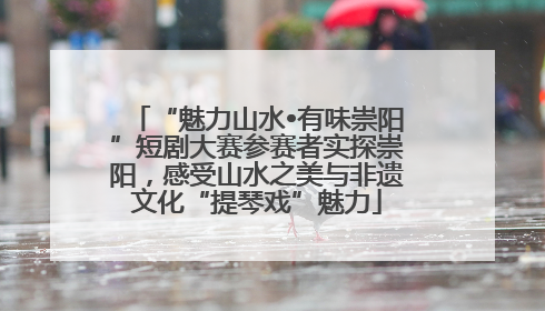 “魅力山水•有味崇阳”短剧大赛参赛者实探崇阳，感受山水之美与非遗文化“提琴戏”魅力